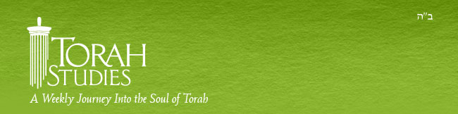 Torah Studies
