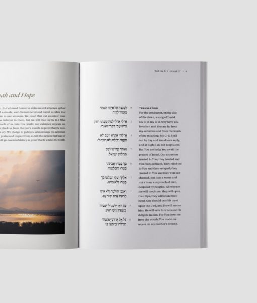 TDC_Catalog2